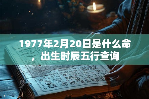 1977年2月20日是什么命,出生时辰五行查询 1977年2月20日是什么命,出生时辰五行查询
