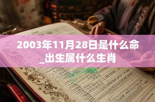 2003年11月28日是什么命_出生属什么生肖