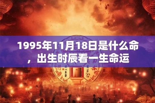 1995年11月18日是什么命，出生时辰看一生命运