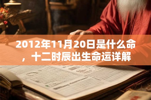 2012年11月20日是什么命,十二时辰出生命运详解 2012年11月20日是什么命,十二时辰出生命运详解