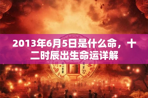 2013年6月5日是什么命，十二时辰出生命运详解