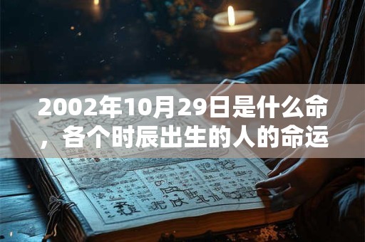 2002年10月29日是什么命，各个时辰出生的人的命运