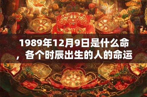 1989年12月9日是什么命，各个时辰出生的人的命运