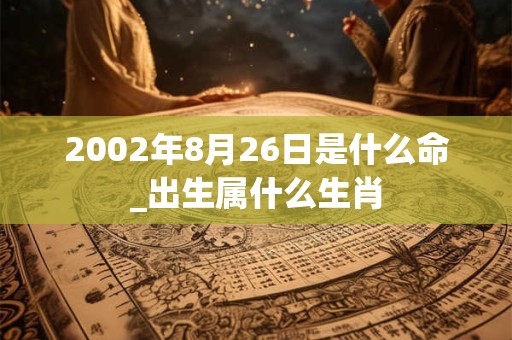 2002年8月26日是什么命_出生属什么生肖