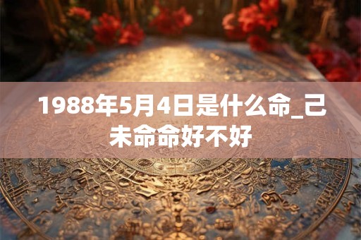 1988年5月4日是什么命_己未命命好不好