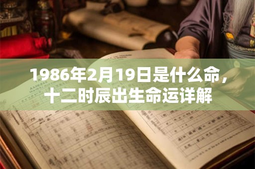 1986年2月19日是什么命，十二时辰出生命运详解