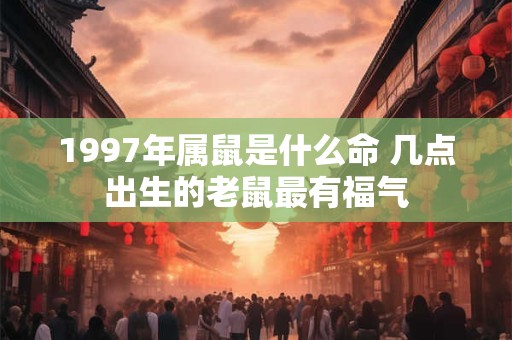 1997年属鼠是什么命 几点出生的老鼠最有福气 1997年属鼠是什么命 几点出生的老鼠最有福气