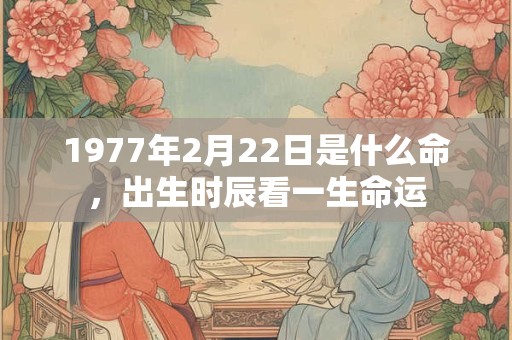 1977年2月22日是什么命,出生时辰看一生命运 1977年2月22日是什么命,出生时辰看一生命运