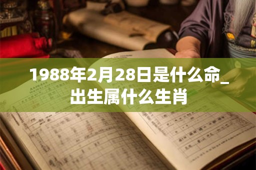 1988年2月28日是什么命_出生属什么生肖