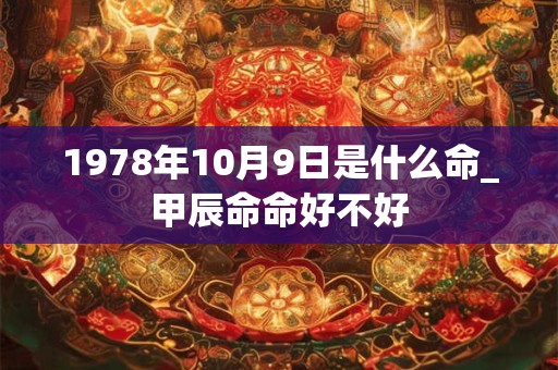 1978年10月9日是什么命_甲辰命命好不好