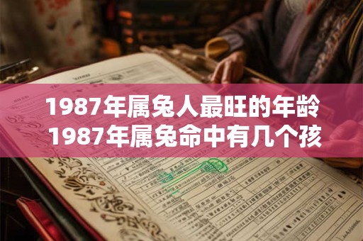 1987年属兔人最旺的年龄 1987年属兔命中有几个孩子