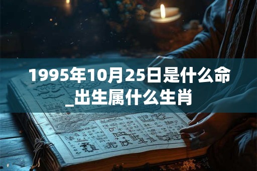 1995年10月25日是什么命_出生属什么生肖