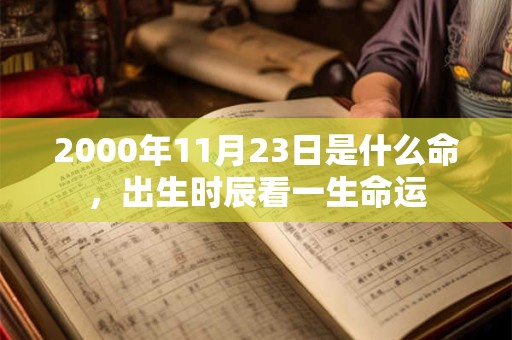 2000年11月23日是什么命，出生时辰看一生命运