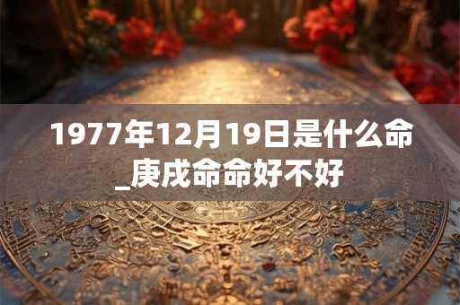 1977年12月19日是什么命_庚戌命命好不好