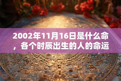 2002年11月16日是什么命，各个时辰出生的人的命运