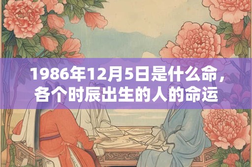 1986年12月5日是什么命，各个时辰出生的人的命运