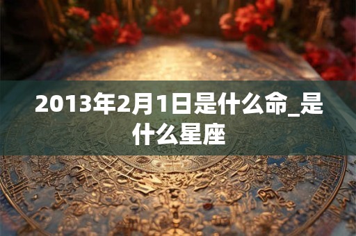 2013年2月1日是什么命_是什么星座 2013年2月1日是什么命_是什么星座