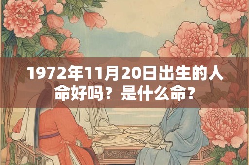 1972年11月20日出生的人命好吗？是什么命？