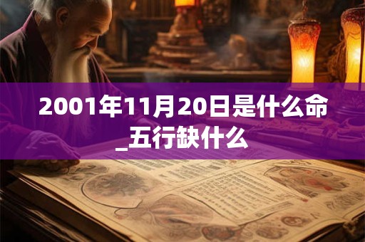 2001年11月20日是什么命_五行缺什么