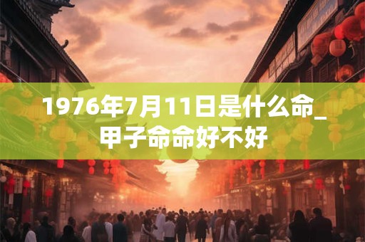 1976年7月11日是什么命_甲子命命好不好
