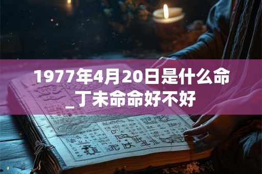 1977年4月20日是什么命_丁未命命好不好 1977年4月20日是什么命_丁未命命好不好