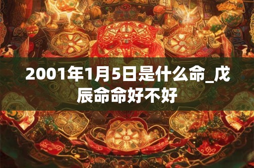 2001年1月5日是什么命_戊辰命命好不好 2001年1月5日是什么命_戊辰命命好不好