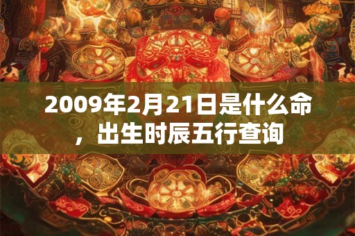 2009年2月21日是什么命，出生时辰五行查询