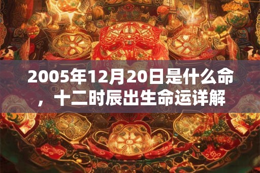 2005年12月20日是什么命，十二时辰出生命运详解