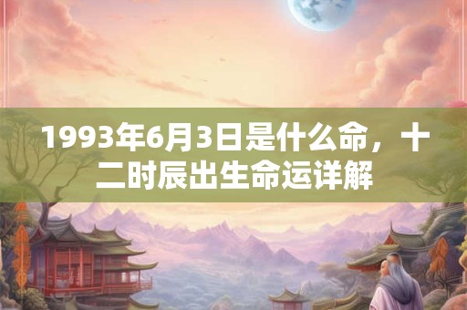 1993年6月3日是什么命，十二时辰出生命运详解