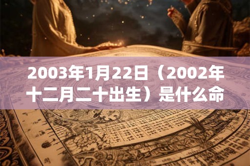 2003年1月22日（2002年十二月二十出生）是什么命_命运如何