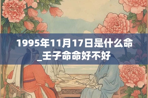 1995年11月17日是什么命_壬子命命好不好