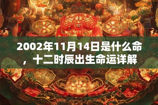 2002年11月14日是什么命，十二时辰出生命运详解