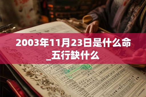 2003年11月23日是什么命_五行缺什么