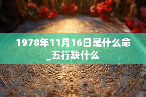 1978年11月16日是什么命_五行缺什么