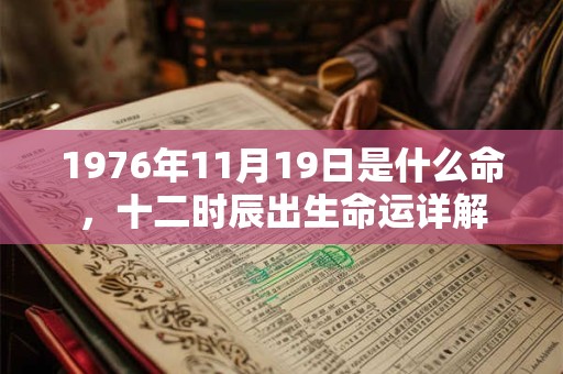 1976年11月19日是什么命，十二时辰出生命运详解