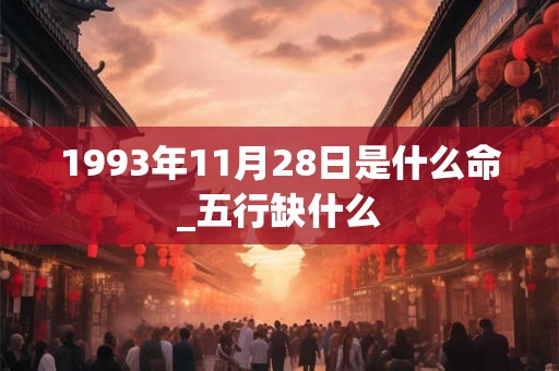 1993年11月28日是什么命_五行缺什么