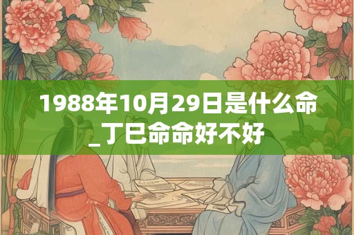 1988年10月29日是什么命_丁巳命命好不好