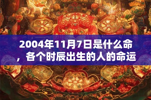 2004年11月7日是什么命,各个时辰出生的人的命运 2004年11月7日是什么命,各个时辰出生的人的命运