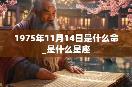 1975年11月14日是什么命_是什么星座