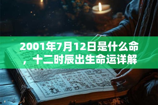 2001年7月12日是什么命，十二时辰出生命运详解