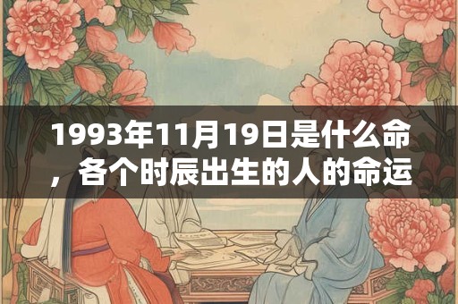 1993年11月19日是什么命，各个时辰出生的人的命运
