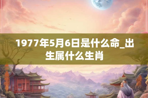 1977年5月6日是什么命_出生属什么生肖