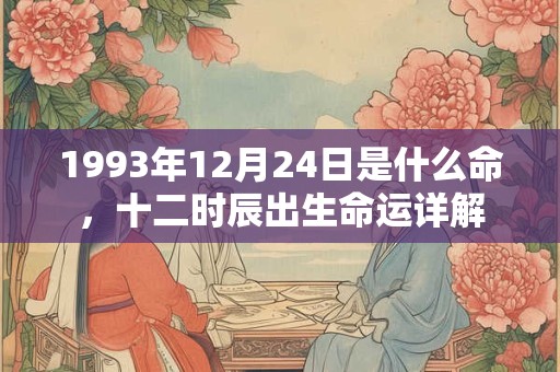 1993年12月24日是什么命，十二时辰出生命运详解