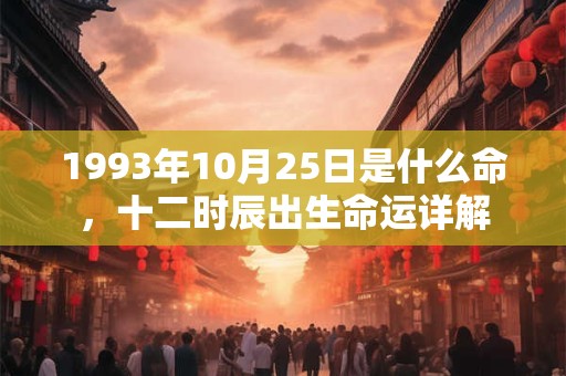 1993年10月25日是什么命，十二时辰出生命运详解