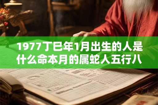 1977丁巳年1月出生的人是什么命本月的属蛇人五行八字查询 1977丁巳年1月出生的人是什么命本月的属蛇人五行八字查询