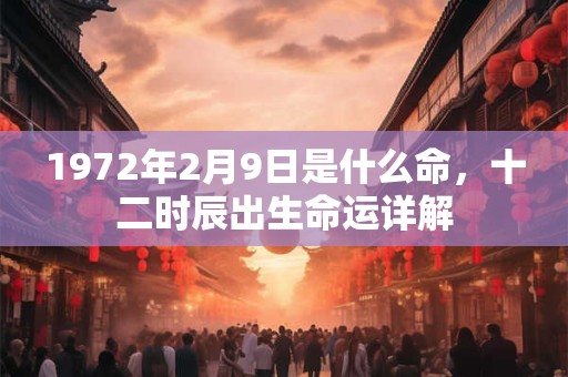 1972年2月9日是什么命，十二时辰出生命运详解