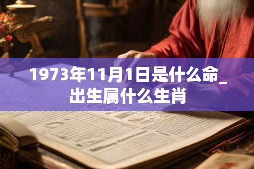 1973年11月1日是什么命_出生属什么生肖