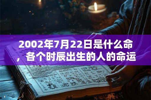 2002年7月22日是什么命，各个时辰出生的人的命运