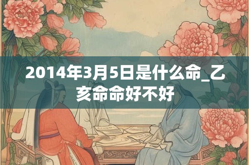 2014年3月5日是什么命_乙亥命命好不好