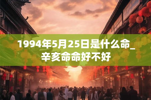 1994年5月25日是什么命_辛亥命命好不好